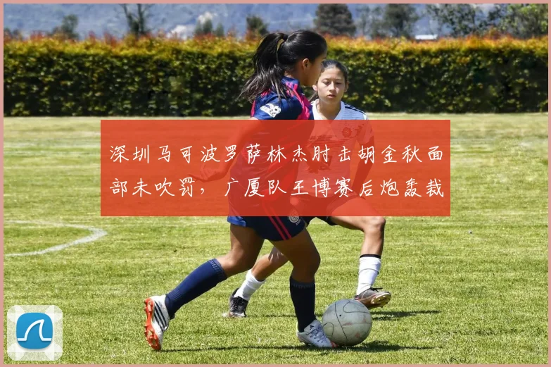 深圳马可波罗萨林杰肘击胡金秋面部未吹罚，广厦队王博赛后炮轰裁判